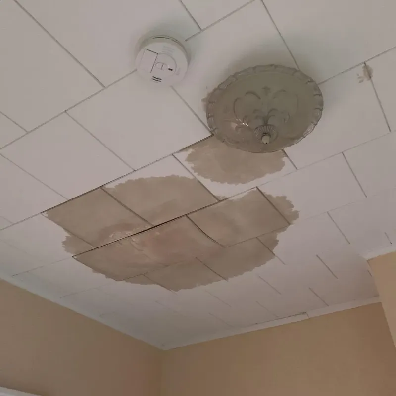 Ceiling Water Damage Repair in San Juan County, WA