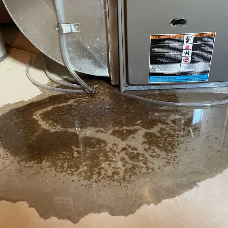 Pipe Burst and Leak Restoration in San Juan County, WA