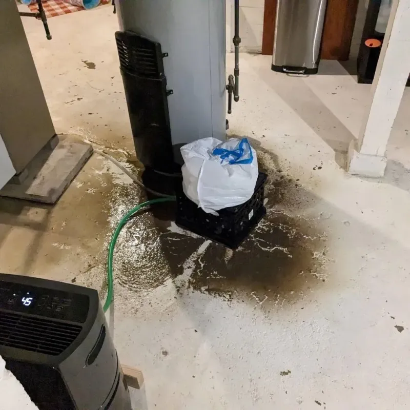 Sewage Backup Cleanup Service in San Juan County, WA